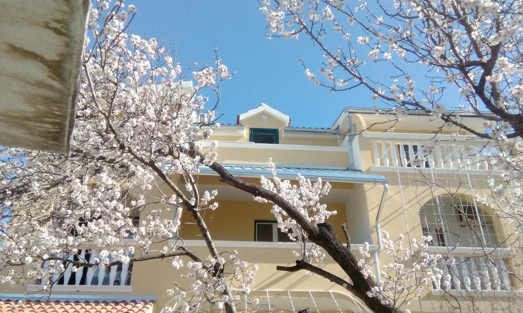 Apartments Meri Vodice Exterior foto